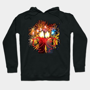 Fireworks of feelings Hoodie